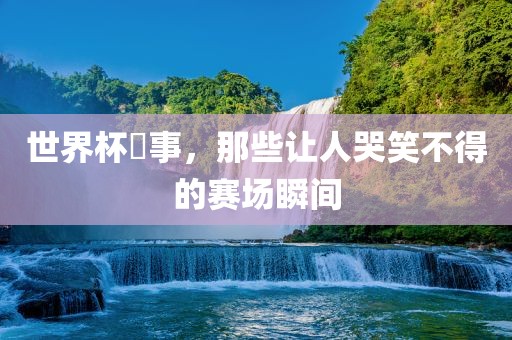 世界杯囧事，那些让人哭笑不得的赛场瞬间