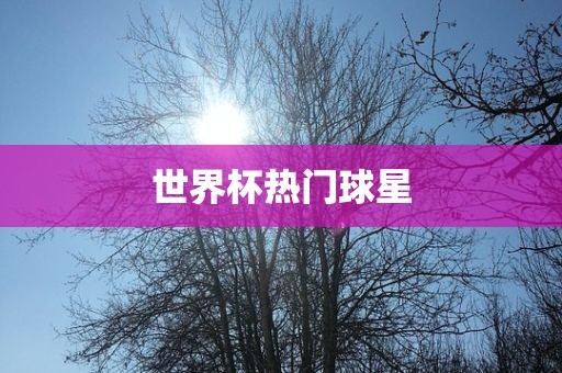 世界杯热门球星