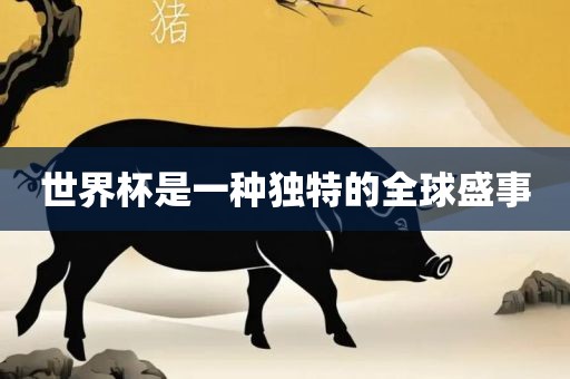 世界杯是一种独特的全球盛事