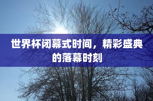 世界杯眉山市正发家政服务有限公司闭幕式时间，精彩盛典的落幕时刻