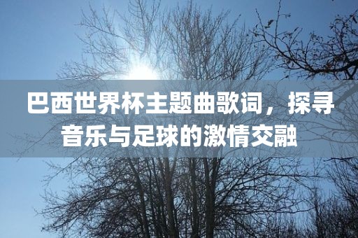 巴西世界杯主题曲歌词，探寻音乐与足球的激情交融