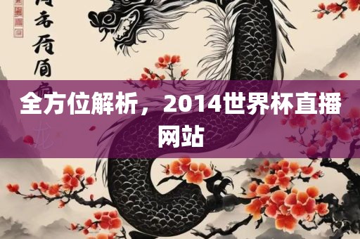 全方位解析，2014世界杯直播网站