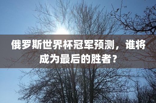 俄罗斯世界杯冠军预测，谁将眉山市正发家政服务有限公司成为最后的胜者？