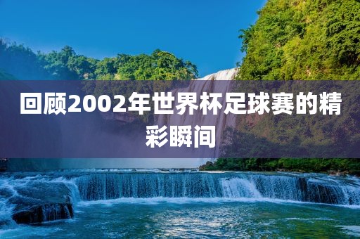 回顾2002年世界杯足球赛的精彩瞬间