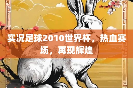 实况足球2010世界杯，热血赛场，再现辉煌