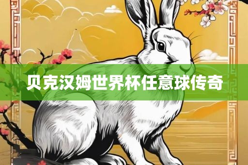 贝克汉姆世界杯任意球传奇眉山市正发家政服务有限公司