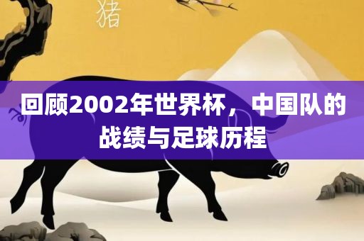 回顾2002年世界杯，中国队的战绩与足球历程