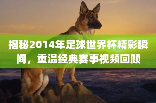 揭秘2014年足球世界杯精彩瞬间，重温经典赛事视频回顾