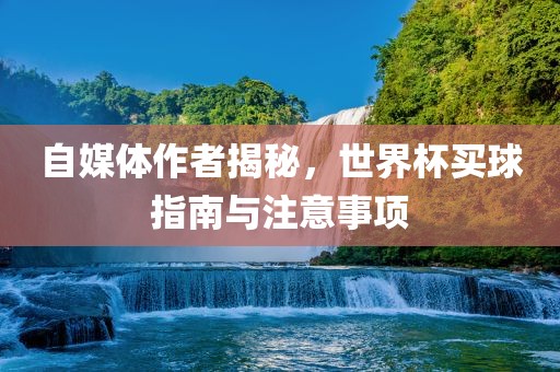 自媒体作者揭秘，世界杯买球指南与注意事项