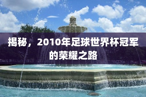 揭秘，2010年足球世界杯冠军的荣耀之路