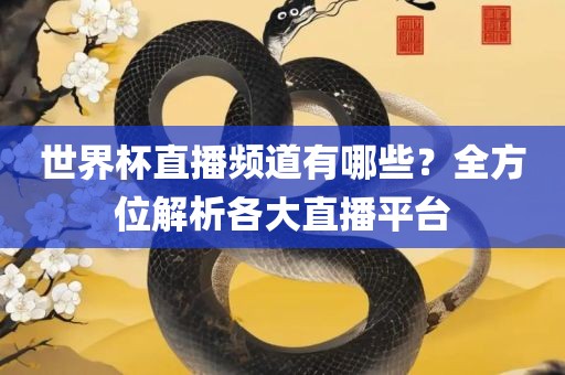 世界杯直播频道有哪些？全方位解析各大直播平台