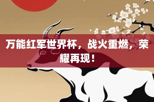 万能红军世界杯，战火重燃，荣耀再现！眉山市正发家政服务有限公司