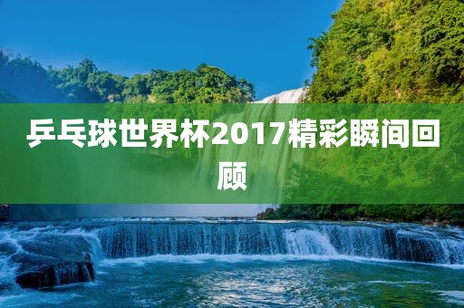 乒乓球世界杯2017精彩瞬间回顾眉山市正发家政服务有限公司