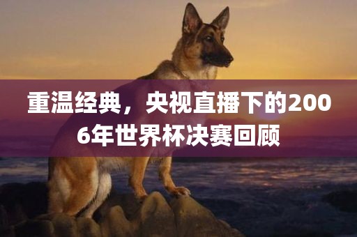 重温经典，央视直播下的2006年世界杯决赛回顾