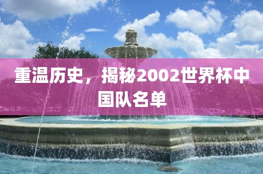 重温历史，揭秘2002世界杯中国队名单