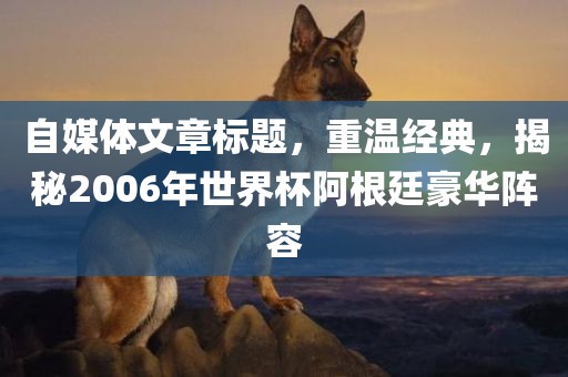 自媒体文章标题，重温经典，揭秘2006年世界杯阿根廷豪华阵容