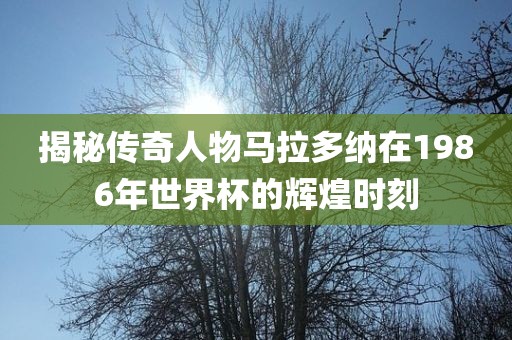 揭秘传奇人物马拉多纳在1986年世界杯的辉煌时刻