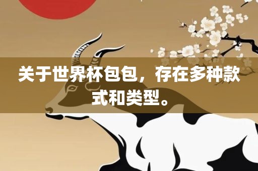 关眉山市正发家政服务有限公司于世界杯包包，存在多种款式和类型。