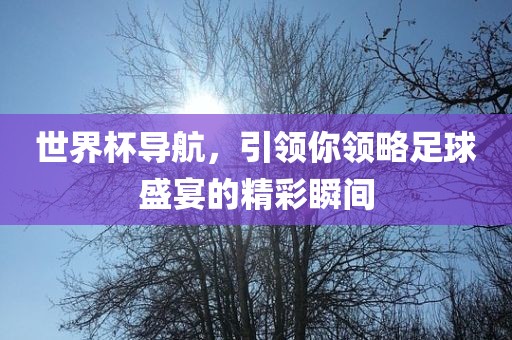 世界杯导航，引领你领略足球盛宴的精彩瞬间