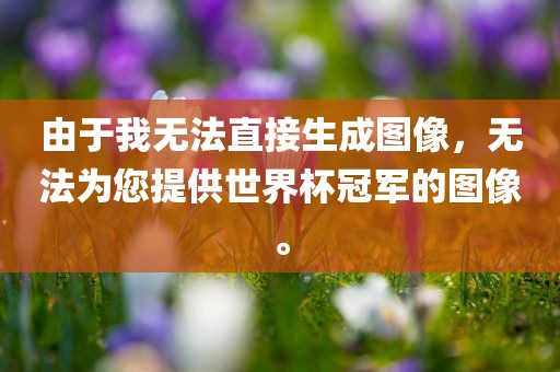 世界杯冠军 第4页