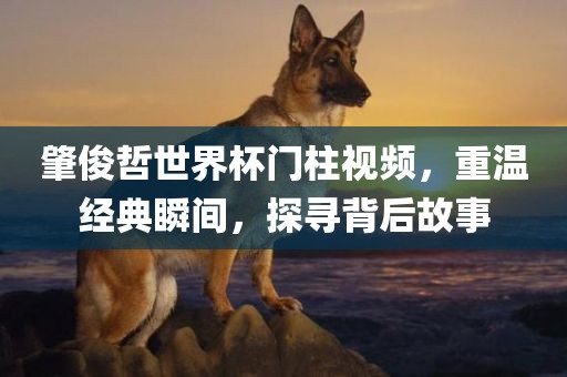 肇俊哲世界杯门柱视频，重温经典瞬间，探寻背后故事