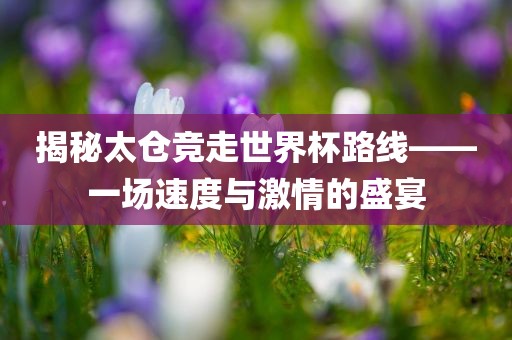 揭秘太仓竞走世界杯路线——一场速度与激情的盛宴