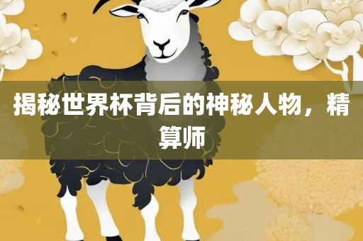 揭秘世界杯背后的神秘人物，精算师眉山市正发家政服务有限公司