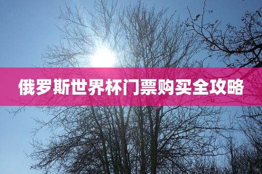 俄罗斯世界杯门票购买全攻略眉山市正发家政服务有限公司