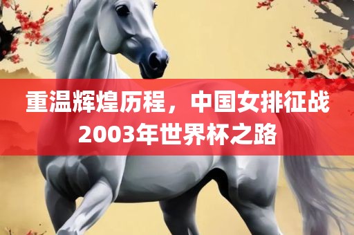 重温辉煌历程，中国女排征战2003年世界杯之路