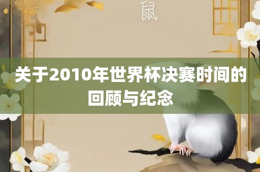 关于2010年世界杯决赛时间的回顾与纪念