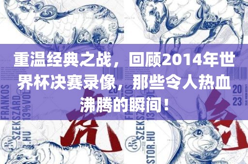 重温经典之战，回顾2014年世界杯决赛录像，那些令人热血沸腾的瞬间！