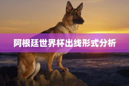 阿根廷世界杯出线形式分析