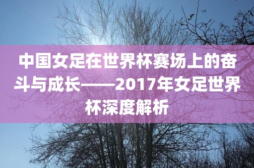 中国女足在世界杯赛场上的奋斗与成长——2017年女足世界杯深度解析