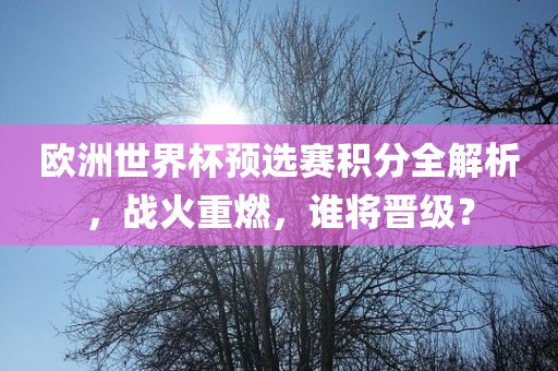 欧洲世界杯预选赛积分全解析，战火重燃，谁将晋级？