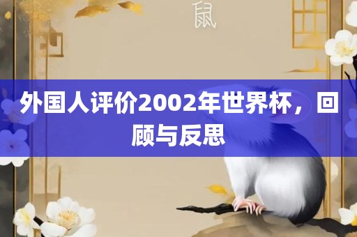 外国人评价2002年世界杯，回顾与反思