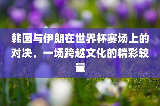 韩国与伊朗在世界杯赛场上的对决，一场跨越文化的精彩较量