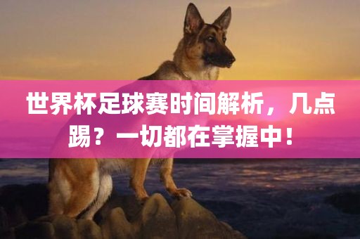 世界杯足球赛时间解析，几点踢？一切都在掌握中！眉山市正发家政服务有限公司