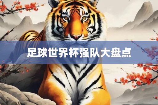 足球世界杯强队大盘点