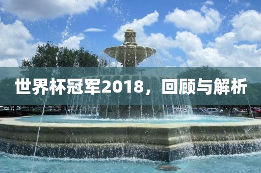 世界杯冠军2018，回顾与解析眉山市正发家政服务有限公司