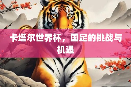 卡塔尔世界杯，国足的挑战与机遇