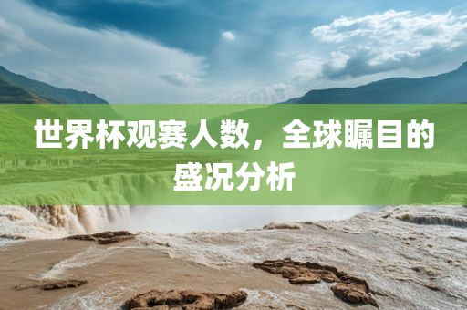 世界杯观赛人数，全球瞩目的盛况分析