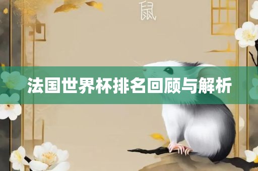 法国世界杯排名回顾与解析