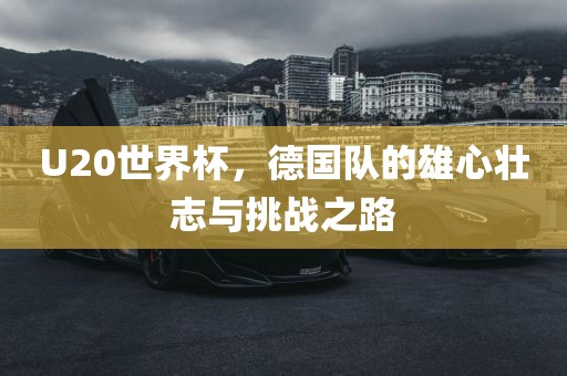 U20世界杯，德国队的雄心壮志与挑战之路