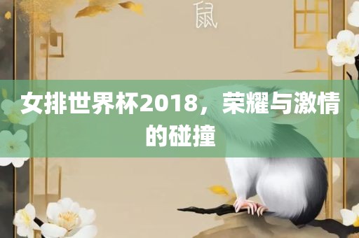 女排世界杯2018，荣耀与激情的碰撞