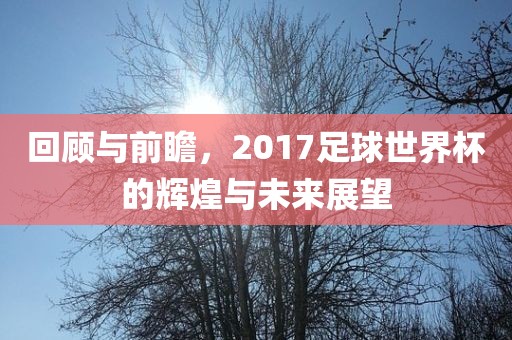 回顾与前瞻，2017足球世界杯的辉煌与未来展望