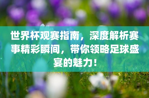 世界杯观赛指南，深度解析赛事精彩瞬间，带你领略足球盛宴的魅力！