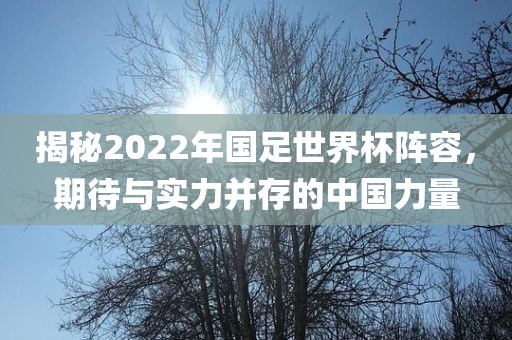 揭秘2022年国足世界杯阵容，期待与实力并存的中国力量