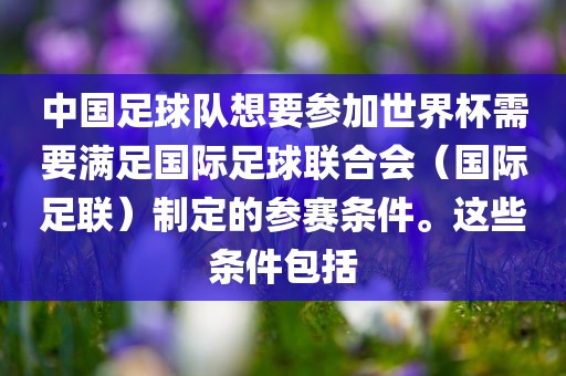 中国足球队想要参加世界杯需要满足国际足球联合会（国际足联）制定的参赛条件。这些条件包括