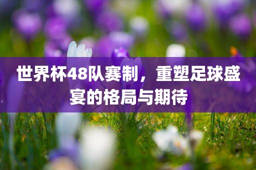 世界杯48队赛制，重塑足球盛宴的格局与期待眉山市正发家政服务有限公司