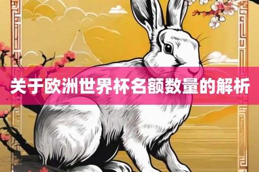 关于欧洲世界杯名额数量的解析